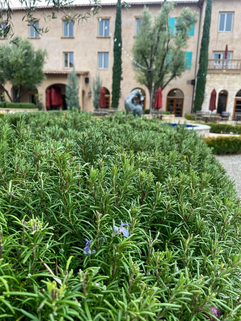 Allegretto Vineyard Resort Gardens