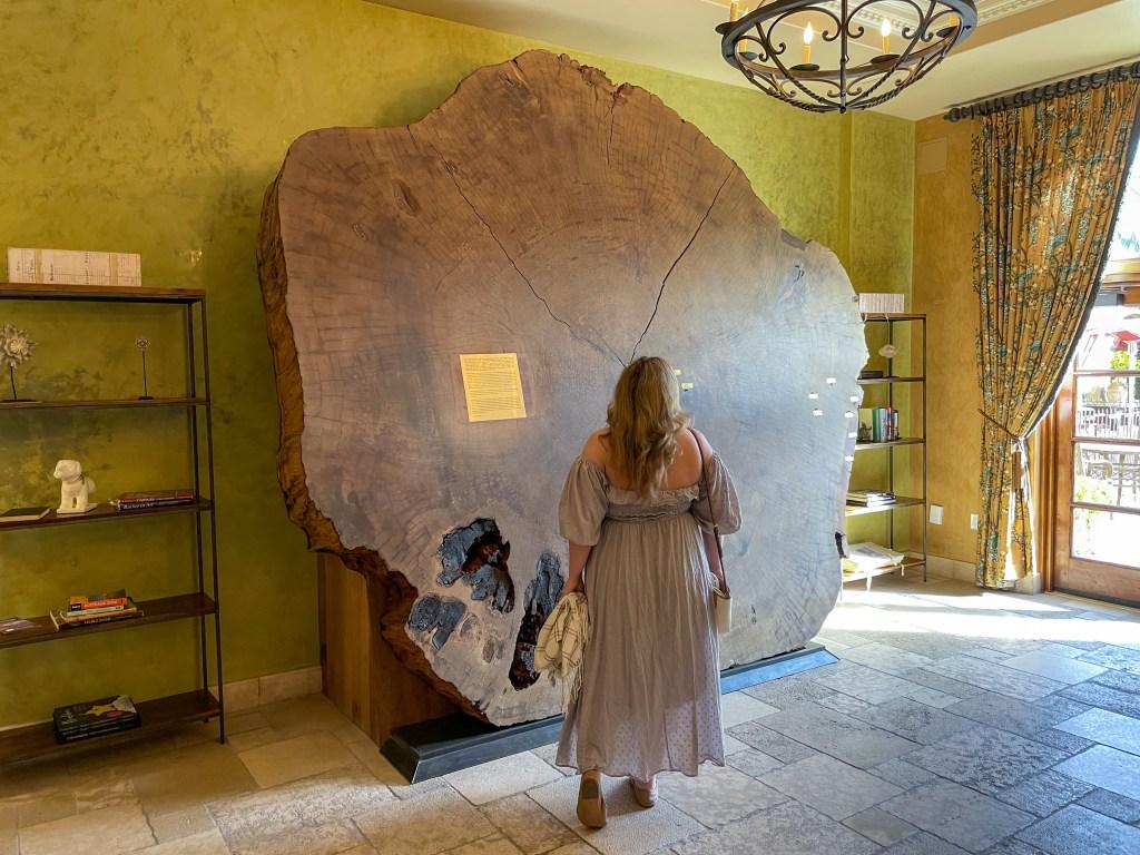 Allegretto Vineyard Resort Review