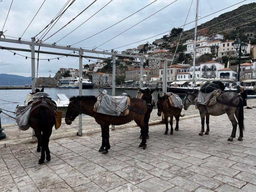 Hydra, Mama Ía blog