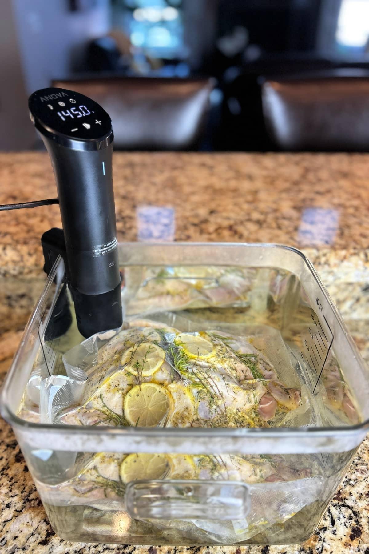 sous vide spatchcock chicken in bucket of water