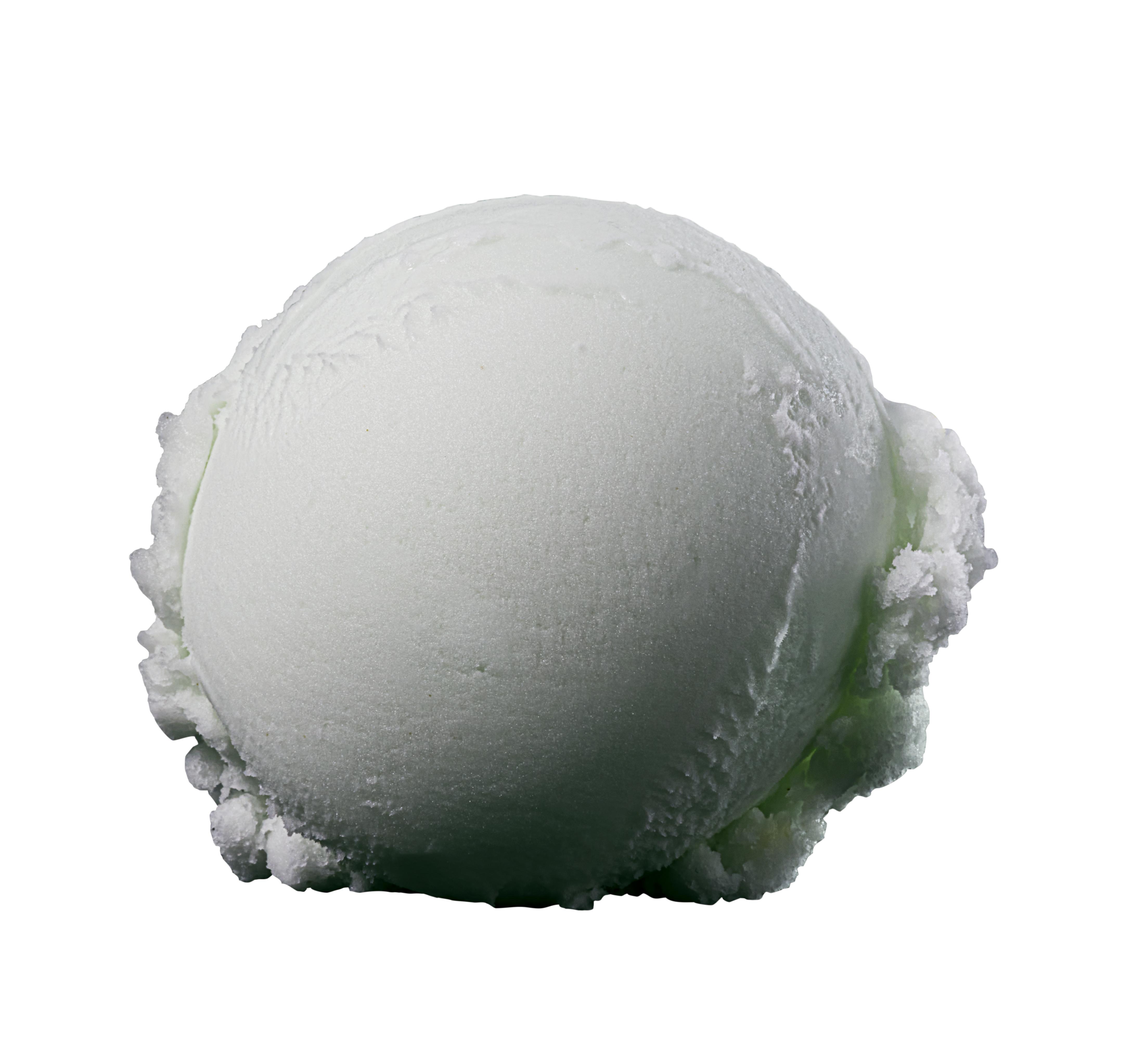 2021109_Baskin Web Shoot Week 1_Daiquiri Ice copy