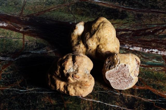 VegNews.trufflemushroom.unsplash