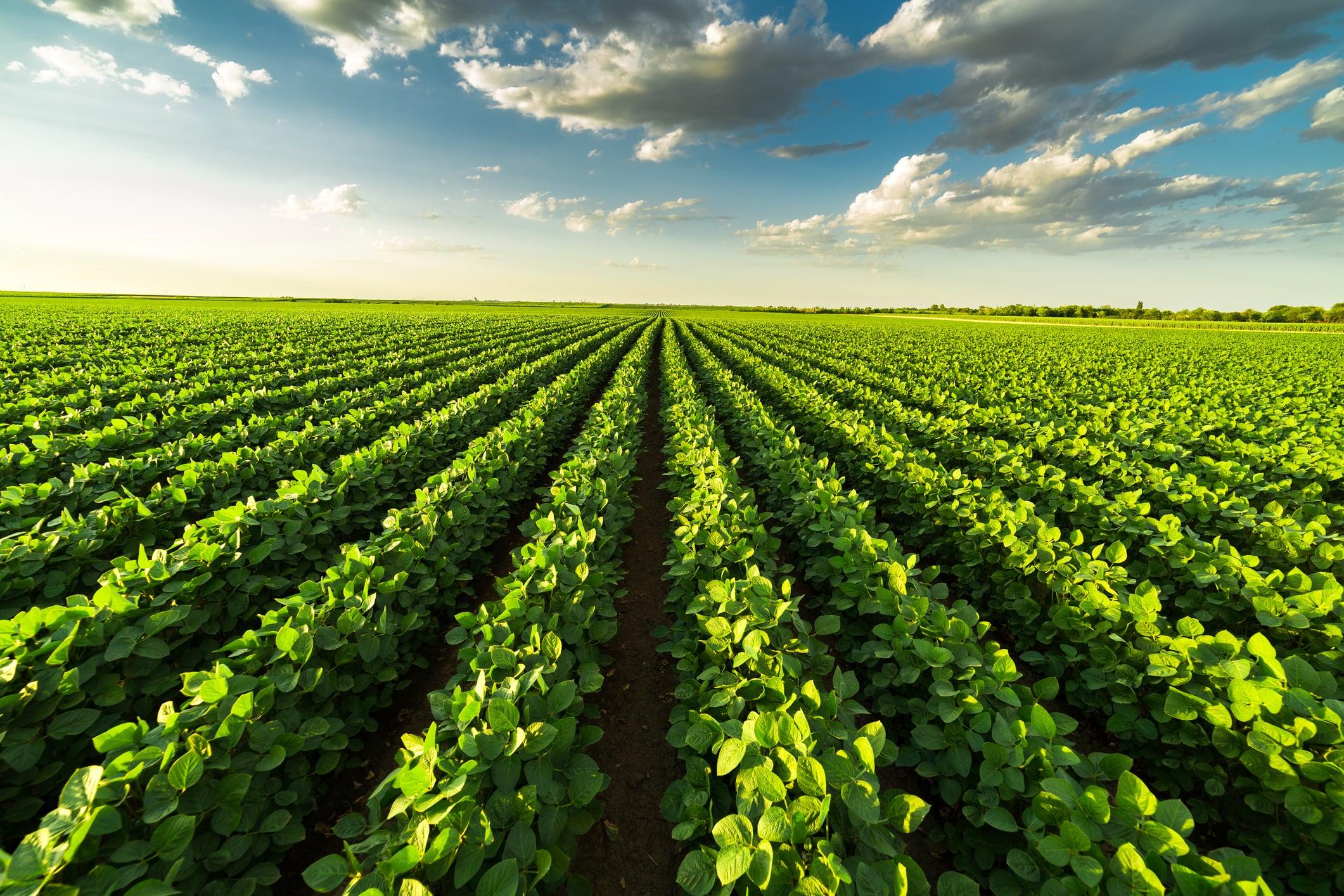 Biostimulants start-up Agrobiomics eyes market launch after EIC funding