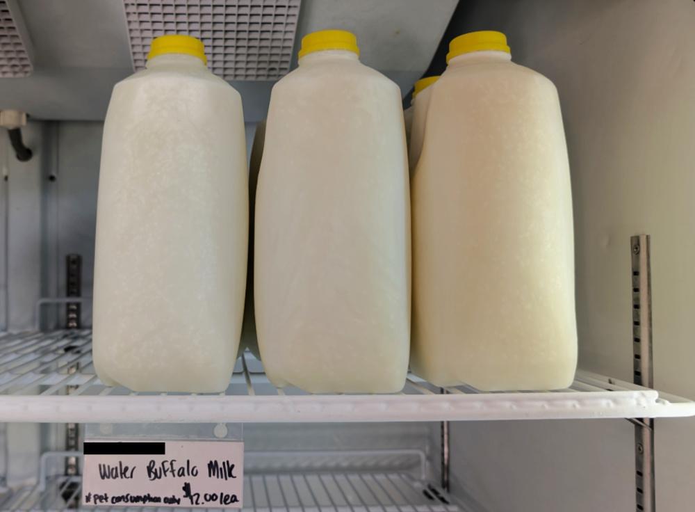 raw water buffalo milk for making homemade baby formula